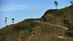 La production d'huile de palme en Indonésie pose des problèmes de déforestation.