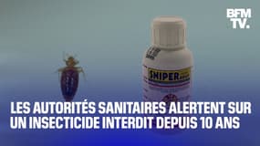  Punaises de lit: l'Anses alerte sur l'insecticide Sniper, responsable de plus de 200 intoxications depuis 2018 