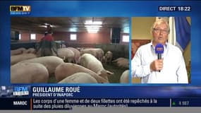 Crise du porc: Les producteurs réclament une réunion à Matignon