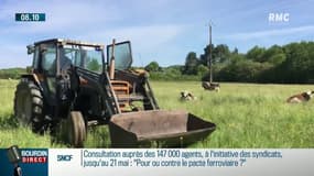 Notre-Dame-des-Landes: Willem, zadiste et éleveur, craint l'expulsion