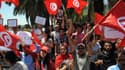 Manifestation contre le parti islamiste au pouvoir Ennahda à Tunis le 1er juillet 2013.