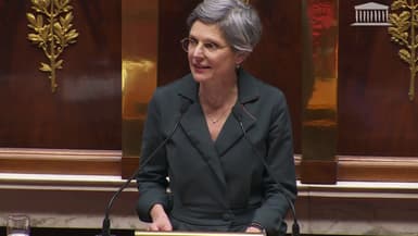 La députée EELV Sandrine Rousseau à l'Assemblée nationale, le 30 janvier 2024.