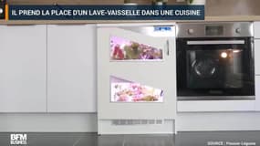 Cette jardinière s'inspire de l'électroménager pour faire pousser des légumes dans votre cuisine 