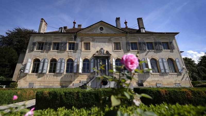 Ce château sera mis en vente les 11 et 12 septembre prochain à l'Hôtel des Ventes de Genève.