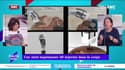 On n'arrête pas le progrès : Une mini-imprimante 3D injectée dans le corps - 10/03