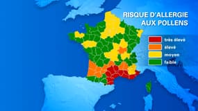 Carte des risques d'allergies aux pollens en France, le 22 février 2019.