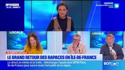 Planète Locale du mercredi 26 février - le grand retour des rapaces en Île-de-France