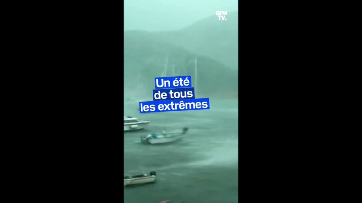 placeholder video