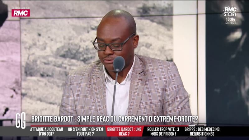 Prises de position de Brigitte Bardot : "Comme toutes les icônes elle a sa part d'ombre", juge Abel Boyi