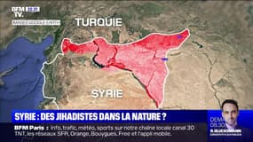 Syrie: des jihadistes dans la nature ?