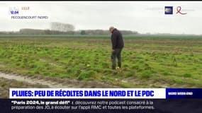 Nord-Pas-de-Calais: peu de récoltes pour les agriculteurs en raison des fortes pluies