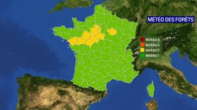 La météo des forêts du 2 juin 2023