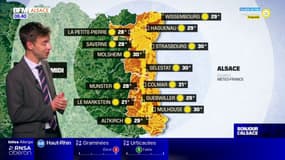 Météo Alsace: grand soleil sur l'Alsace, 30°C à Mulhouse et Strasbourg