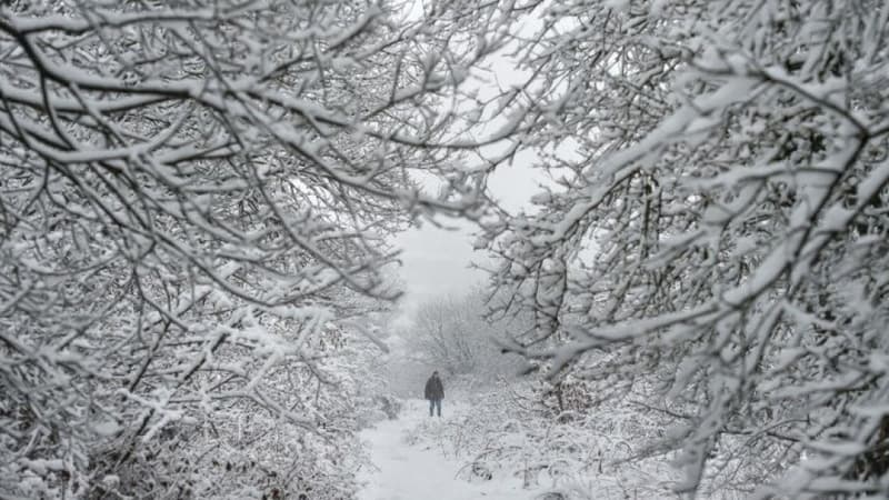 Un paysage enneigé (illustration)