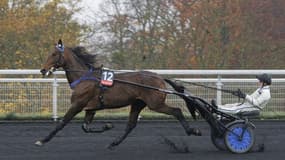 Etonnant est l'un des favoris du Prix d'Amérique 2022