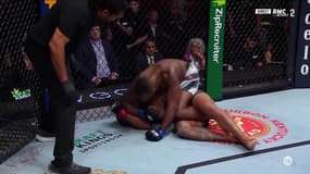 UFC : Hill s'impose face à Santos par TKO