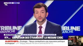Jean-Philippe Tanguy: "Il faut rétablir le délit de séjour irrégulier"