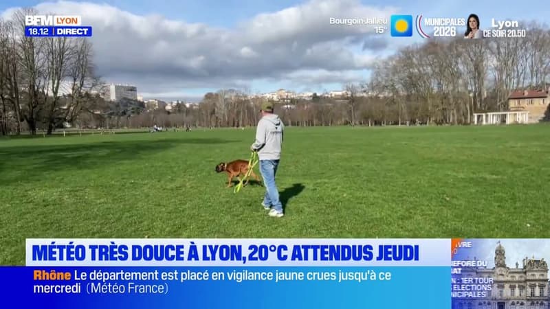 Météo très douce à Lyon, 20 degrés attendus jeudi