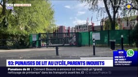 Seine-Saint-Denis: les parents d'élèves inquiets après la détection de punaises de lit dans un lycée de Noisy-le-Grand