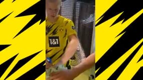 Erling Haaland 