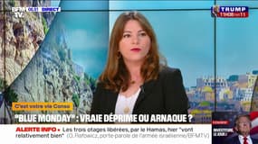 "Blue Monday": ce lundi est-il vraiment le jour le plus déprimant de l'année ou une simple opération commerciale?