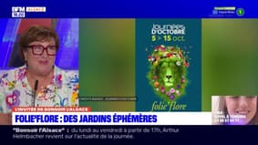 Mulhouse: les Journées d'Octobre de retour du 5 au 15 octobre 