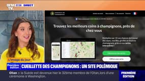 La polémique autour d'un site, "chasseursdechampignons.com", qui recense les zones de cueillette
