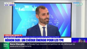 Provence-Alpes-Côte d'Azur: le maire de Forcalquier évoque le chèque énergie pour les TPE