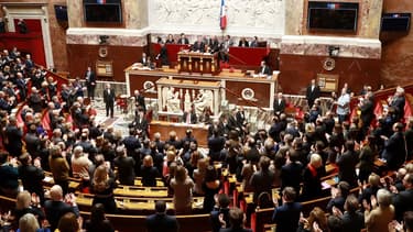 L'hémicycle de l'Assemblée nationale, à Paris