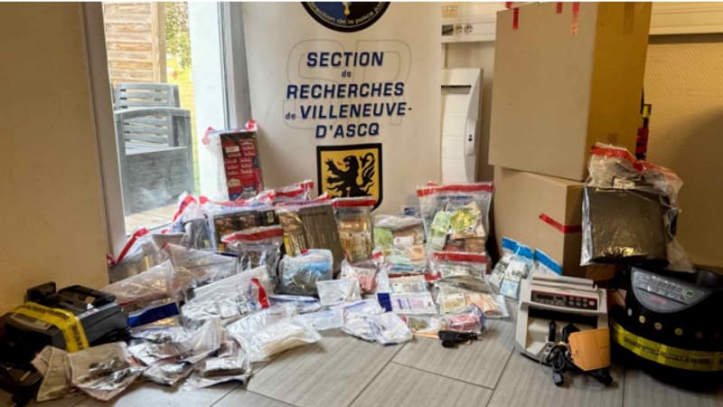 Un réseau de trafiquants de cigarettes contrefaites en région lilloise a été démentelé, 12 millions d’euros de préjudice