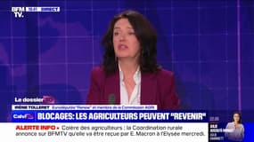 Colère des agriculteurs: "Les engagements qui ont été pris seront tenus", affirme Irène Tolleret (eurodéputée “Renew” et membre de la commission AGRI)