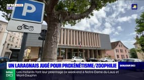 Hautes-Alpes: un Laragnais condamné pour proxénétisme et zoophilie