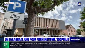 Hautes-Alpes: un Laragnais condamné pour proxénétisme et zoophilie