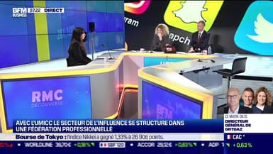 Carine Fernandez (UMICC) : L'UMICC va regrouper plus de 30 agences d'influence - 23/01