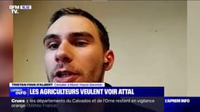 Blocage de l'A64: "On reste mobilisés jusqu'à ce qu'on ait une réponse claire de l'État", affirme Tristan Fava d'Albert, céréalier à Muret (Haute-Garonne)