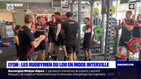 Lyon: comment s'occupent les rugbymen du LOU pendant la coupe du monde?