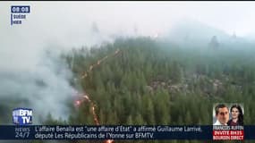 De violents feux de forêt embrasent la Suède jusqu'au cercle polaire