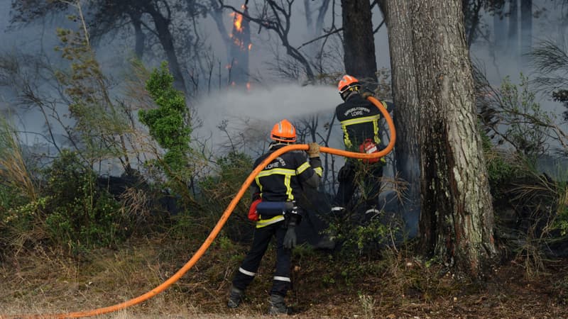 Plus de 700 pompiers sont mobilisés pour lutter contre cet incendie. 