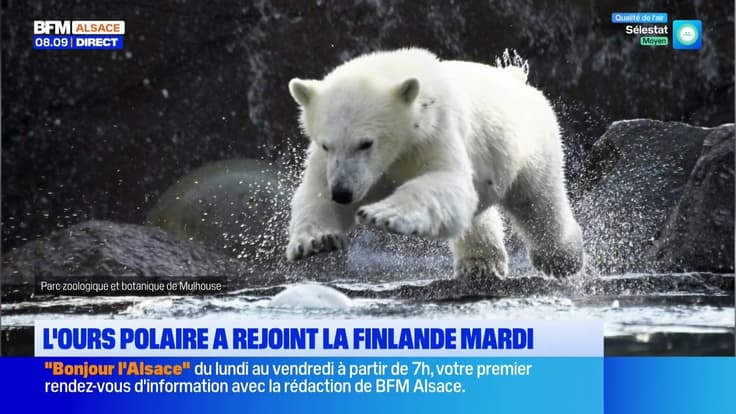 Le journal de 8h du jeudi 4 décembre 2025