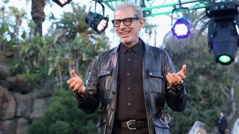 Jeff Goldblum en mai 2018 à Los Angeles
