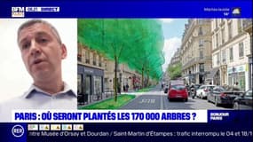 Paris: "100 hectares vont être débitumés", promet l'adjoint à la végétalisation Christophe Najdovski