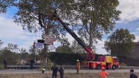 Des militants opposées au projet de l'A69 délogés d'arbres par les forces de l'ordre le 16 octobre 2023
