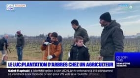 Le Luc: des élèves de CM1 plantent 250 arbres chez un agriculteur