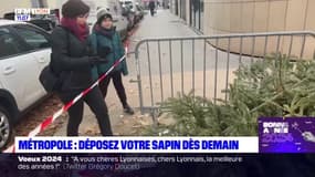 Métropole de Lyon: où déposer son sapin