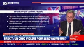 Lord Edward Llewellyn (Ambassadeur du Royaume-Uni en France) : Brexit, un choc violent pour le Royaume-Uni ? - 07/01