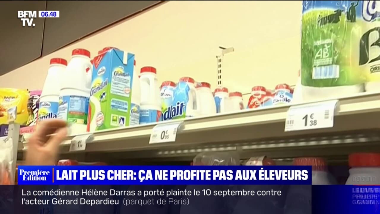 L'augmentation Du Prix Du Lait A Plus Profité Aux Distributeurs Qu'aux ...