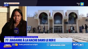 Seine-et-Marne: quatre personnes blessées dans une agression à la hache sur le RER E