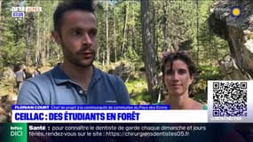 Hautes-Alpes: des étudiants se sont rendus en forêt de Ceillac