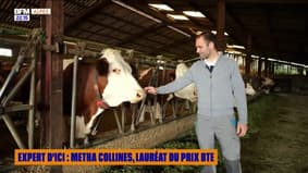 Expert d'ici : Metha Collines, lauréat du prix BTE