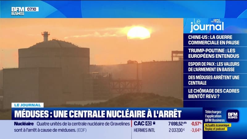 Quatre réacteurs de la centrale nucléaire de Gravelines à l'arrêt à cause de la présence de méduses